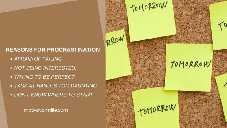 Reasons for procrastination