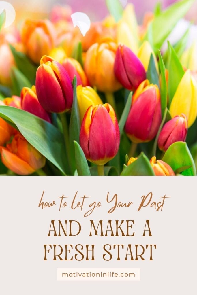 <strong>How To Start Fresh In Life: A Realistic Guide (For The 40+)</strong> A Blank Page Awaits: Steps to Begin Anew in Life